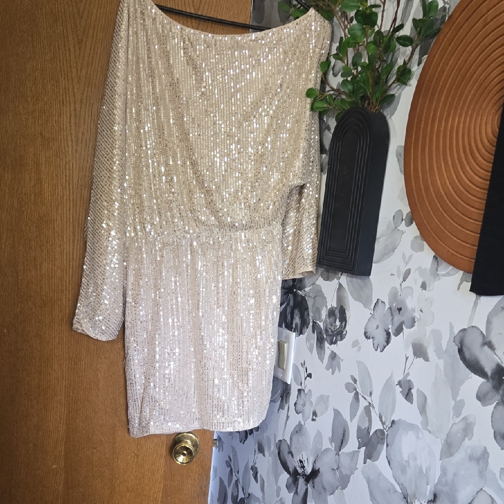 Sparkling Sequin Dress